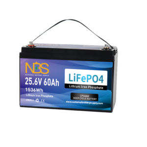 LiFePO4 golf cart battery supply