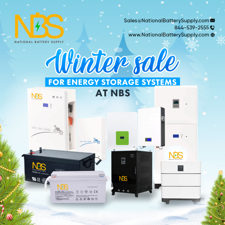 national battery supply winter sale